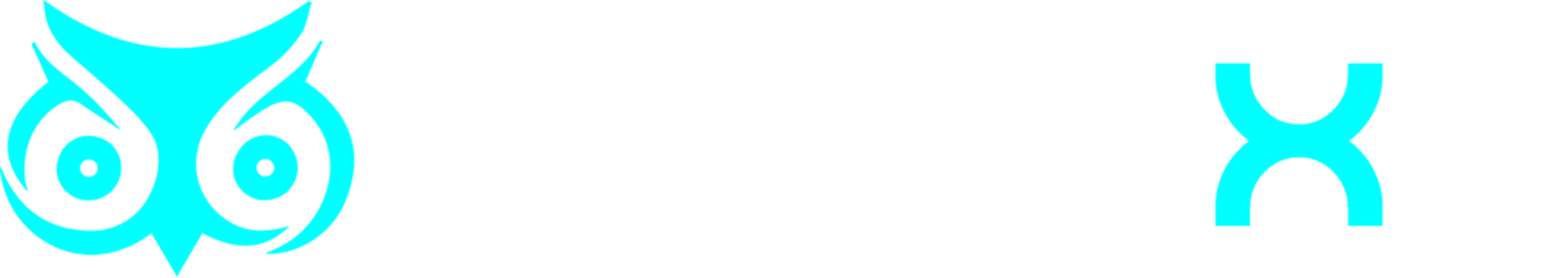 Connexa Negócios Digitais